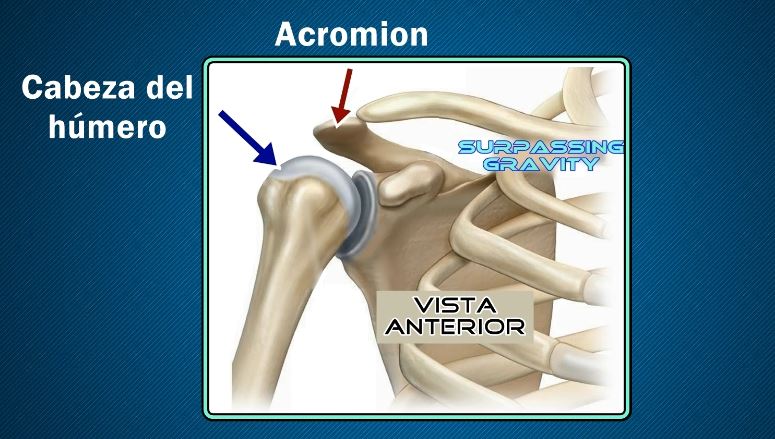 Pinzamiento de hombro y Dominadas